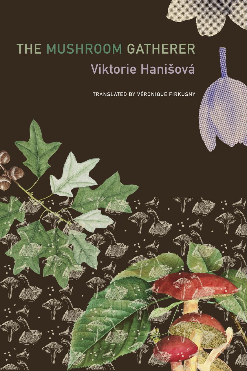 Book Cover of The Mushroom Gatherer