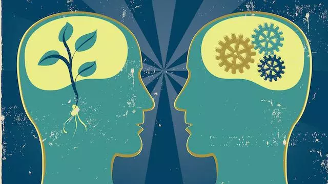 Fiction and Other Minds