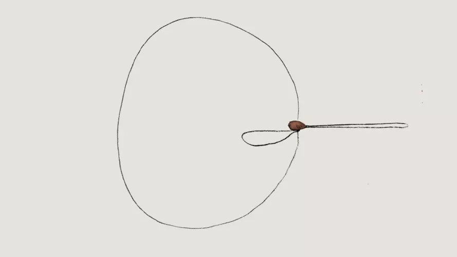 untitled design