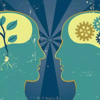 Fiction and Other Minds
